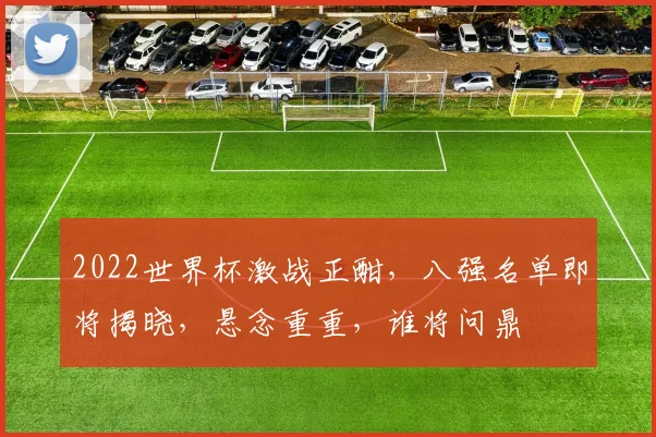 2022世界杯激战正酣，八强名单即将揭晓，悬念重重，谁将问鼎