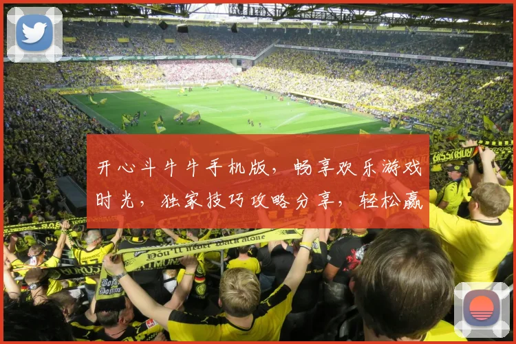开心斗牛牛手机版，畅享欢乐游戏时光，独家技巧攻略分享，轻松赢取大奖